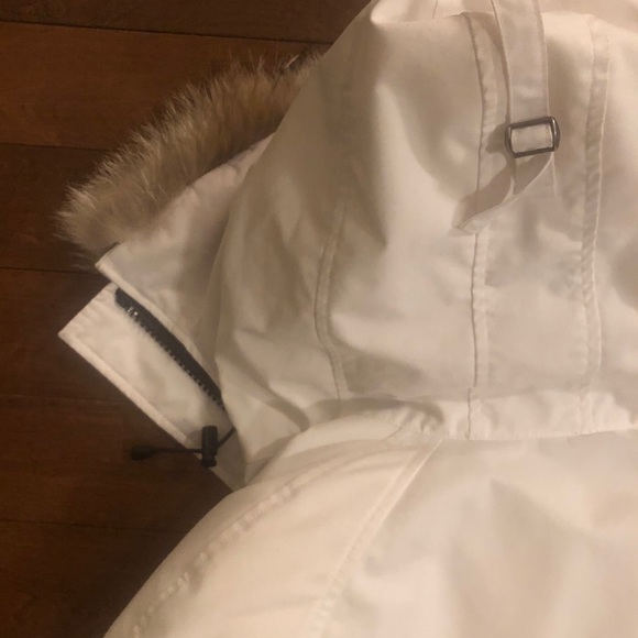 Authentic Canada Goose Bomber - Picture 6 of 11